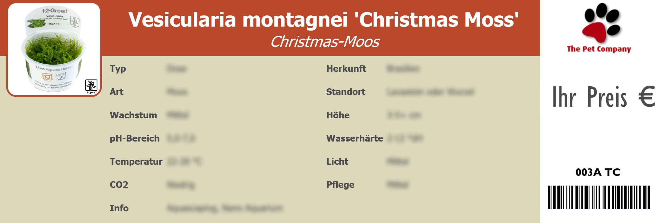 Vesicularia montagnei 'Christmas Moss' Christmas-Moos 195 x 66 mm