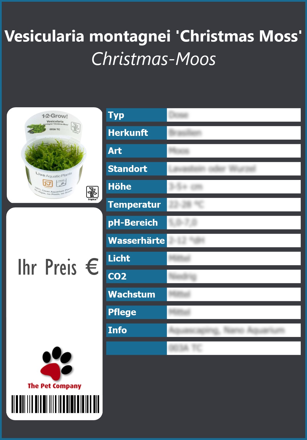 Vesicularia montagnei 'Christmas Moss' Christmas-Moos 91 x 130 mm