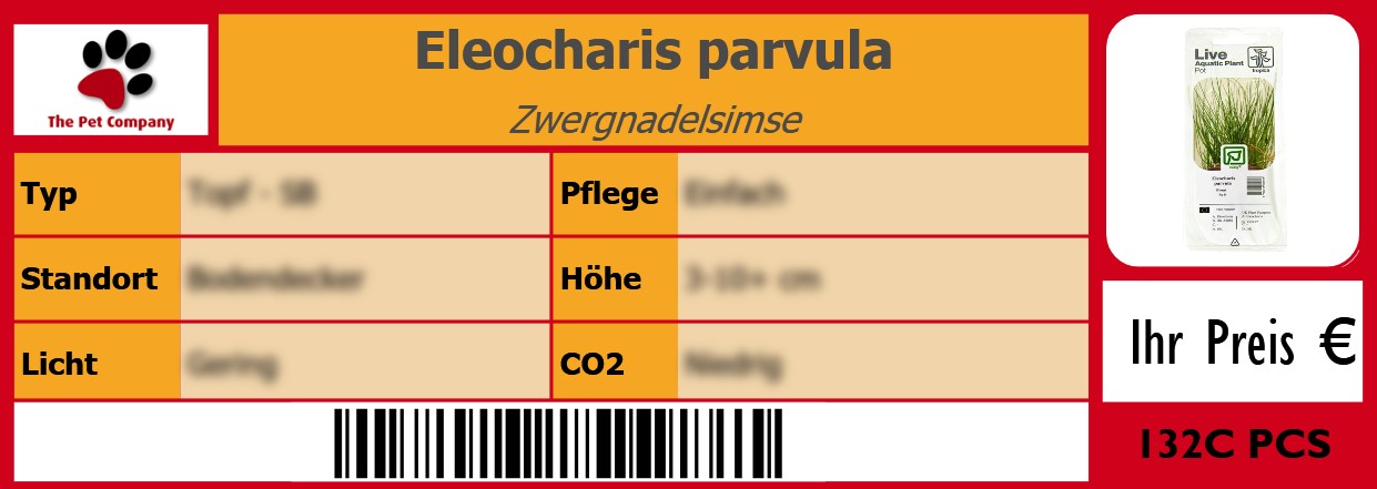 Eleocharis parvula Zwergnadelsimse 105 x 38 mm