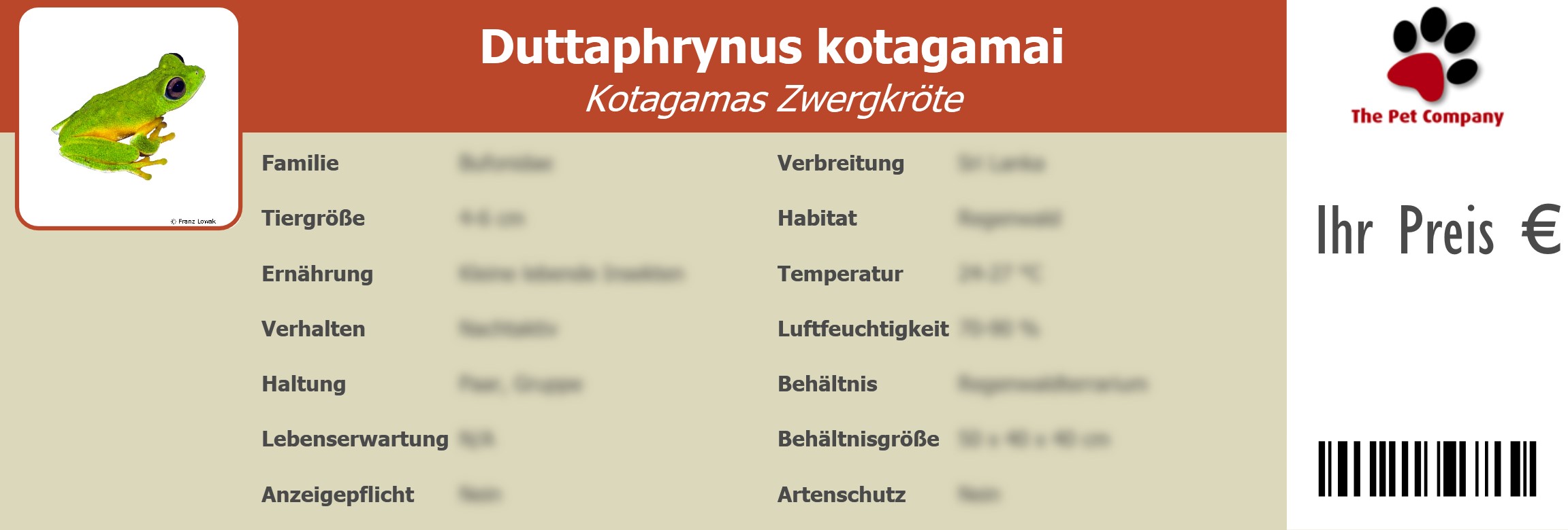 Duttaphrynus kotagamai Kotagamas Zwergkröte 195 x 66 mm