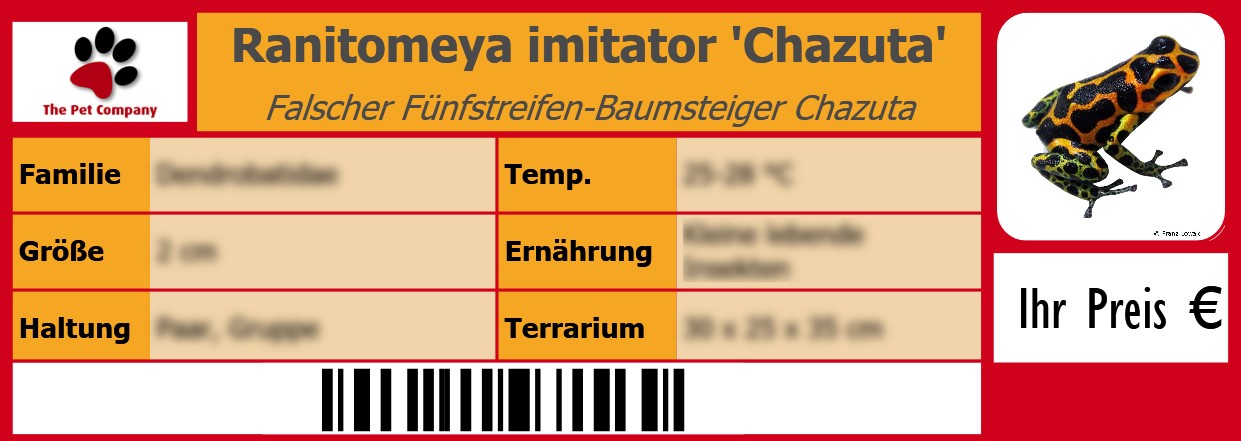 Ranitomeya imitator 'Chazuta' Falscher Fünfstreifen-Baumsteiger Chazuta 105 x 38 mm