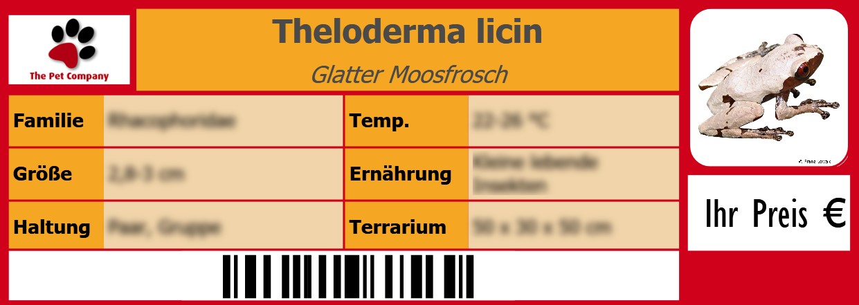 Theloderma licin Glatter Moosfrosch 105 x 38 mm