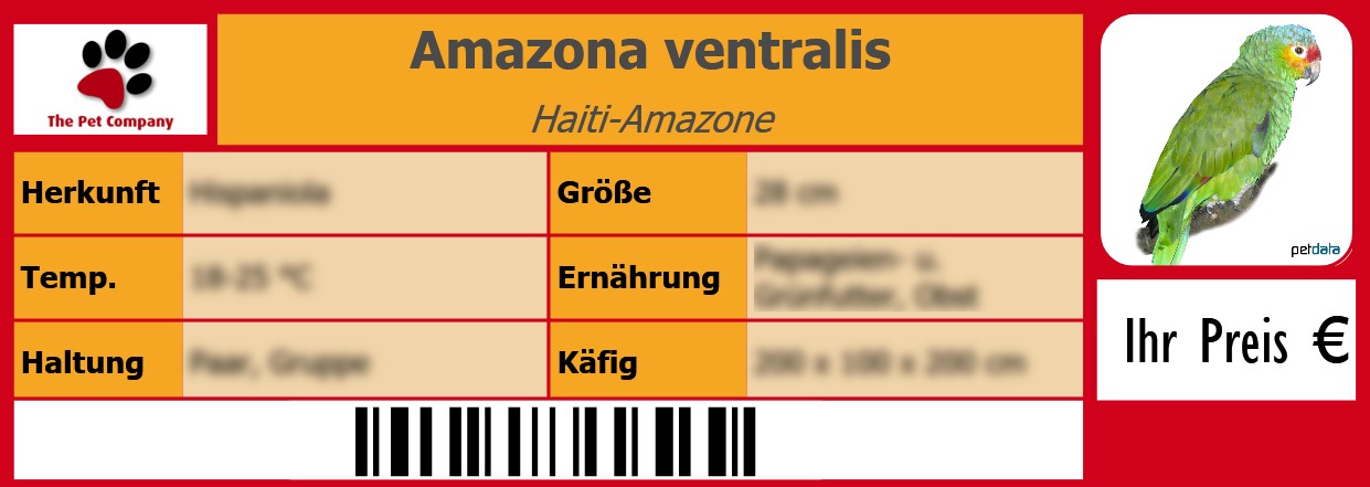 Amazona ventralis Haiti-Amazone 105 x 38 mm