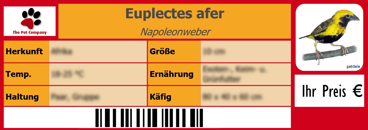 Euplectes afer Napoleonweber 105 x 38 mm