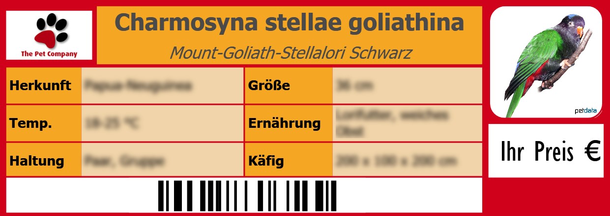 Charmosyna stellae goliathina Mount-Goliath-Stellalori Schwarz 105 x 38 mm