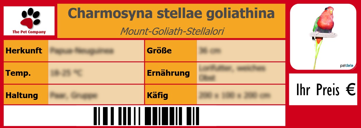 Charmosyna stellae goliathina Mount-Goliath-Stellalori 105 x 38 mm