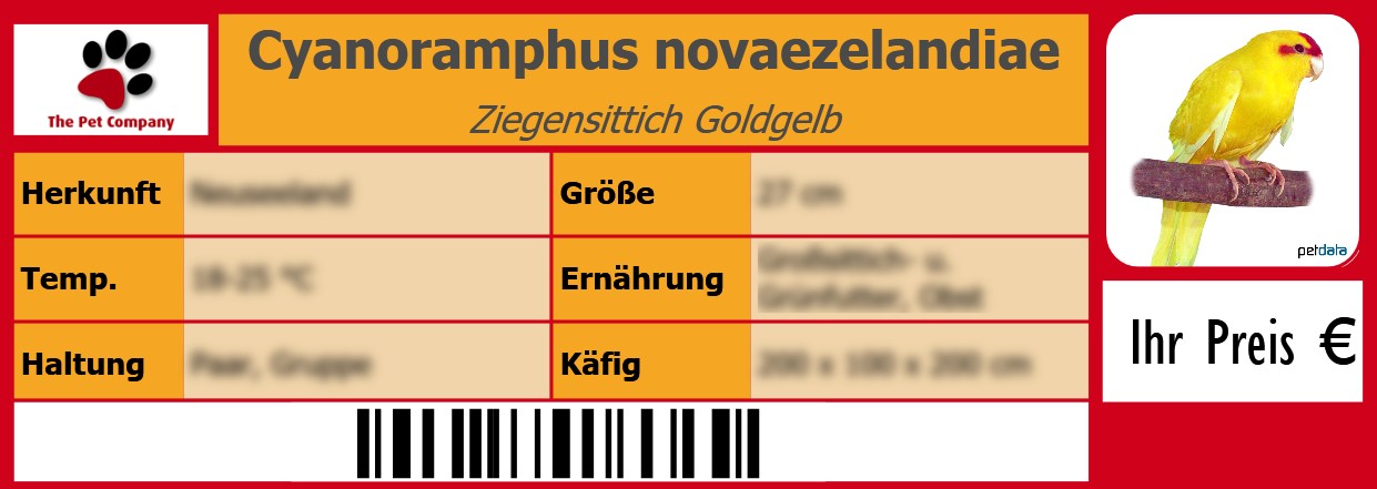 Cyanoramphus novaezelandiae Ziegensittich Goldgelb 105 x 38 mm
