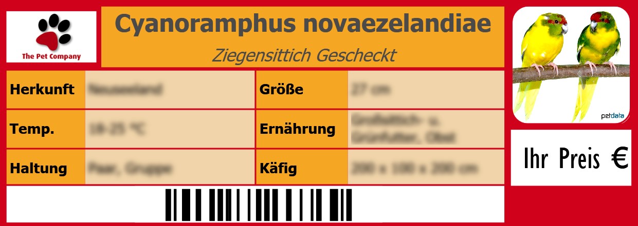 Cyanoramphus novaezelandiae Ziegensittich Gescheckt 105 x 38 mm