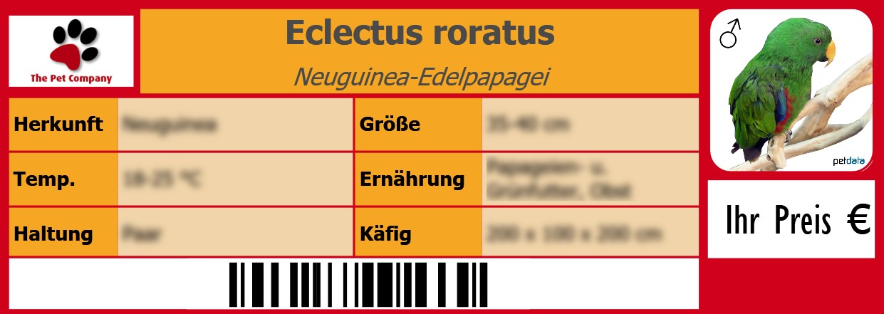 Eclectus roratus Neuguinea-Edelpapagei 105 x 38 mm