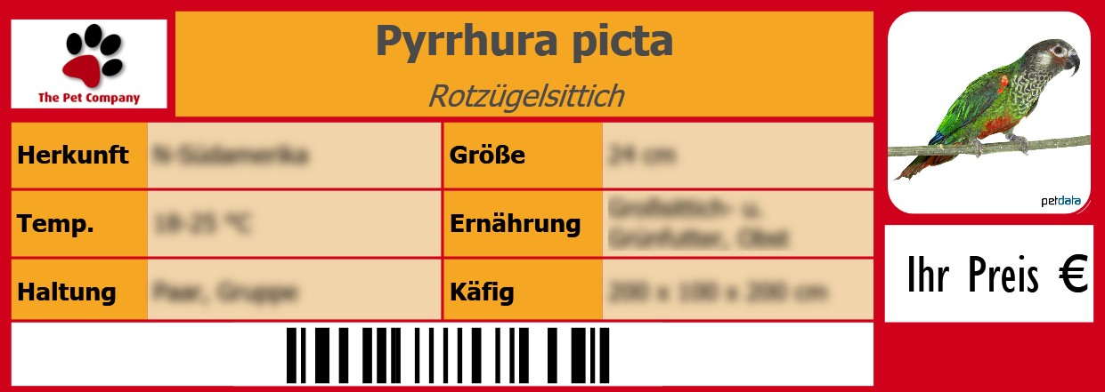 Pyrrhura picta Rotzügelsittich 105 x 38 mm