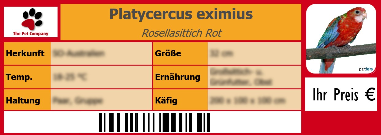 Platycercus eximius Rosellasittich Rot 105 x 38 mm