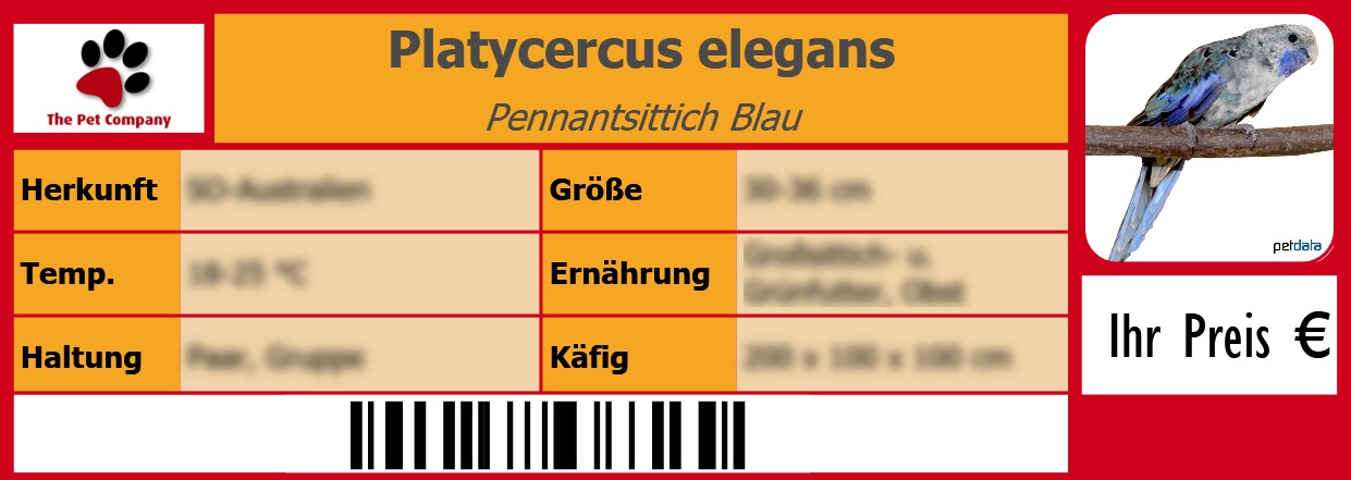 Platycercus elegans Pennantsittich Blau 105 x 38 mm