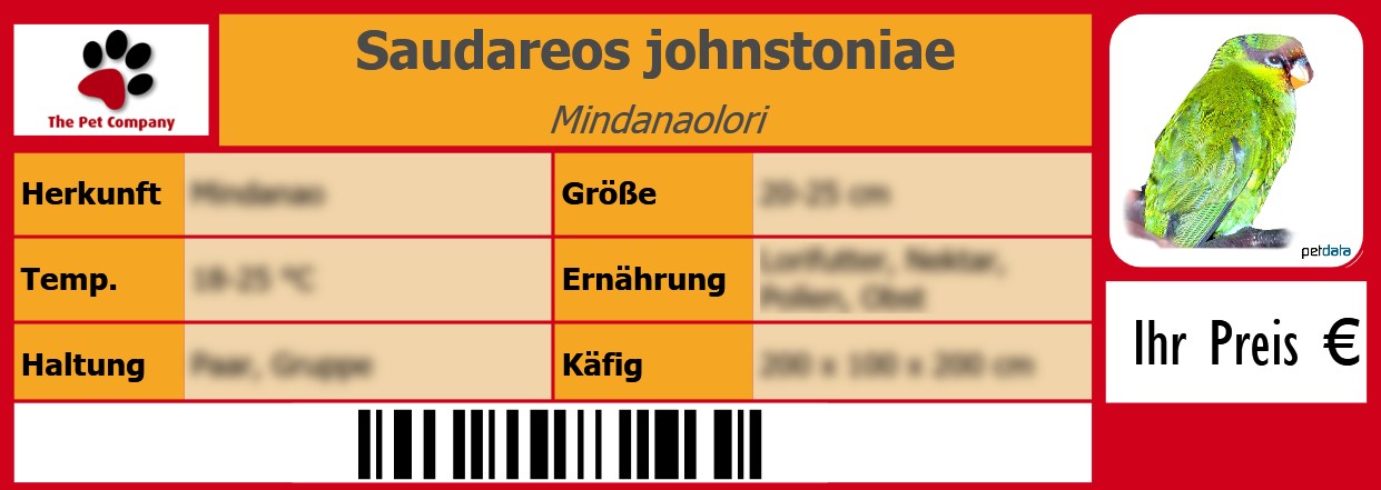 Saudareos johnstoniae Mindanaolori 105 x 38 mm