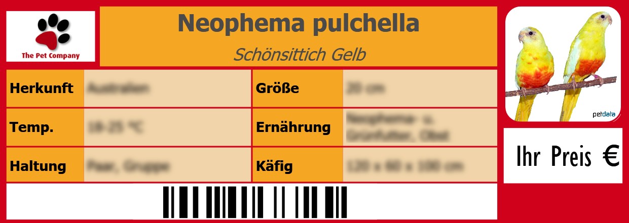 Neophema pulchella Schönsittich Gelb 105 x 38 mm