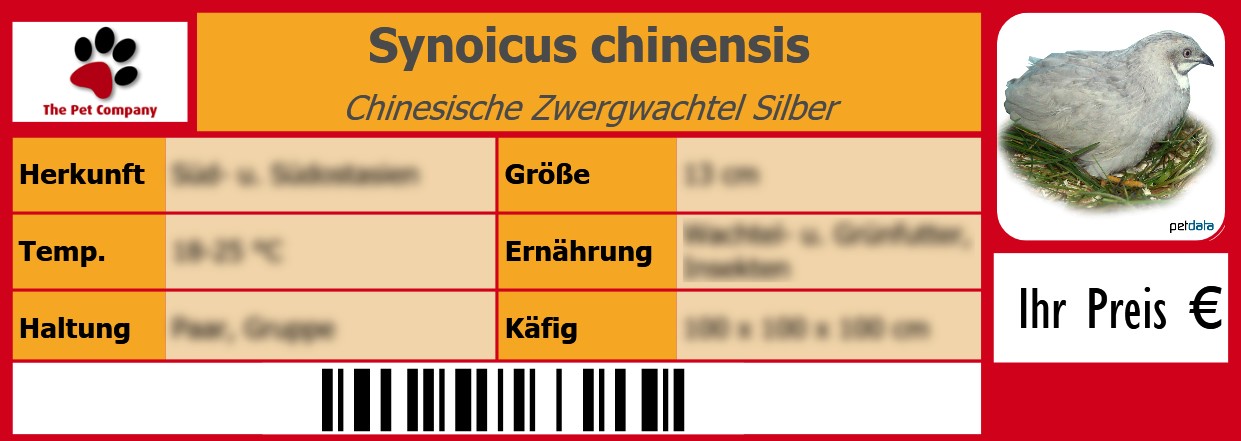 Synoicus chinensis Chinesische Zwergwachtel Silber 105 x 38 mm