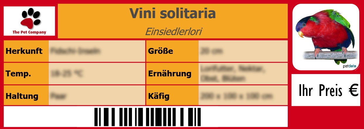 Vini solitaria Einsiedlerlori 105 x 38 mm