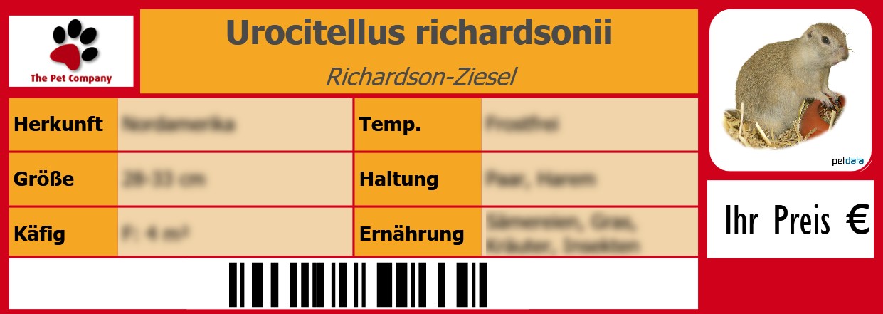 Urocitellus richardsonii Richardson-Ziesel 105 x 38 mm