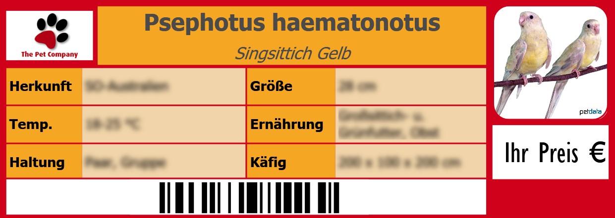 Psephotus haematonotus Singsittich Gelb 105 x 38 mm