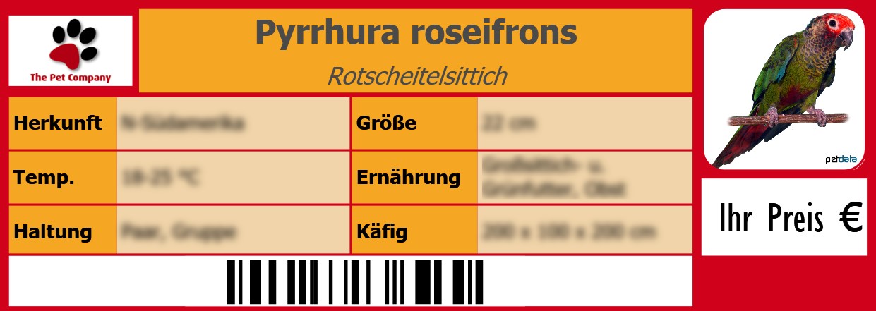 Pyrrhura roseifrons Rotscheitelsittich 105 x 38 mm