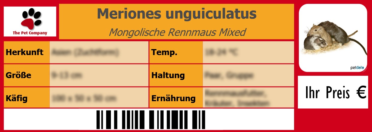 Meriones unguiculatus Mongolische Rennmaus Mixed 105 x 38 mm