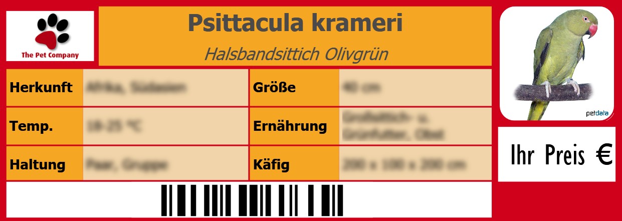 Psittacula krameri Halsbandsittich Olivgrün 105 x 38 mm