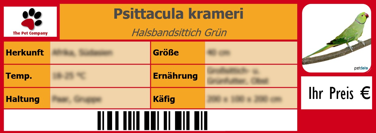 Psittacula krameri Halsbandsittich Grün 105 x 38 mm