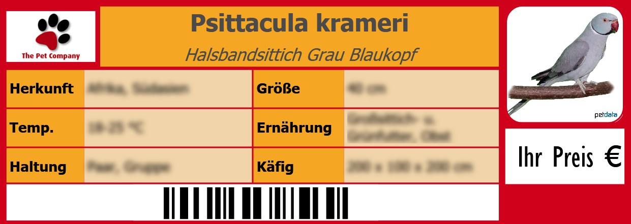 Psittacula krameri Halsbandsittich Grau Blaukopf 105 x 38 mm