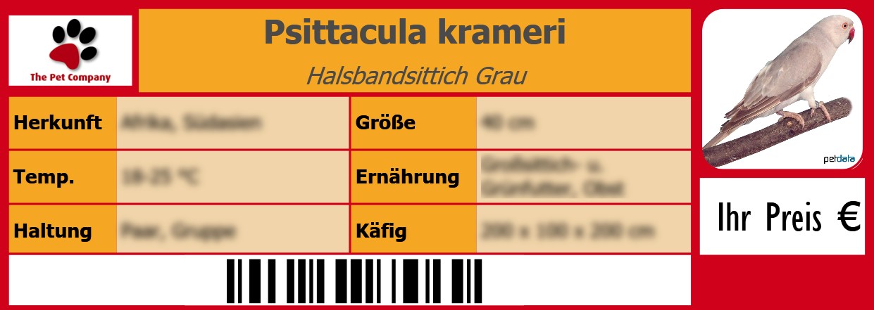 Psittacula krameri Halsbandsittich Grau 105 x 38 mm