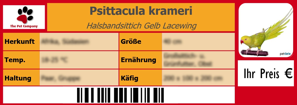 Psittacula krameri Halsbandsittich Gelb Lacewing 105 x 38 mm