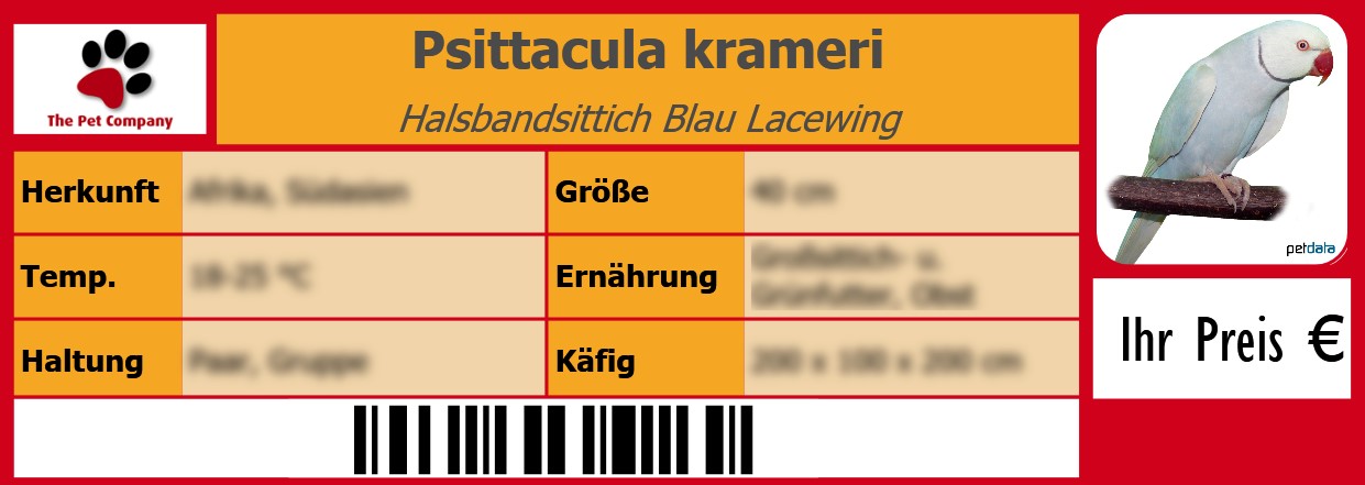 Psittacula krameri Halsbandsittich Blau Lacewing 105 x 38 mm