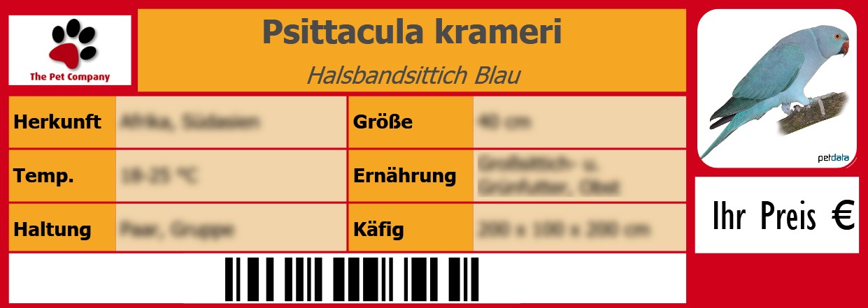 Psittacula krameri Halsbandsittich Blau 105 x 38 mm