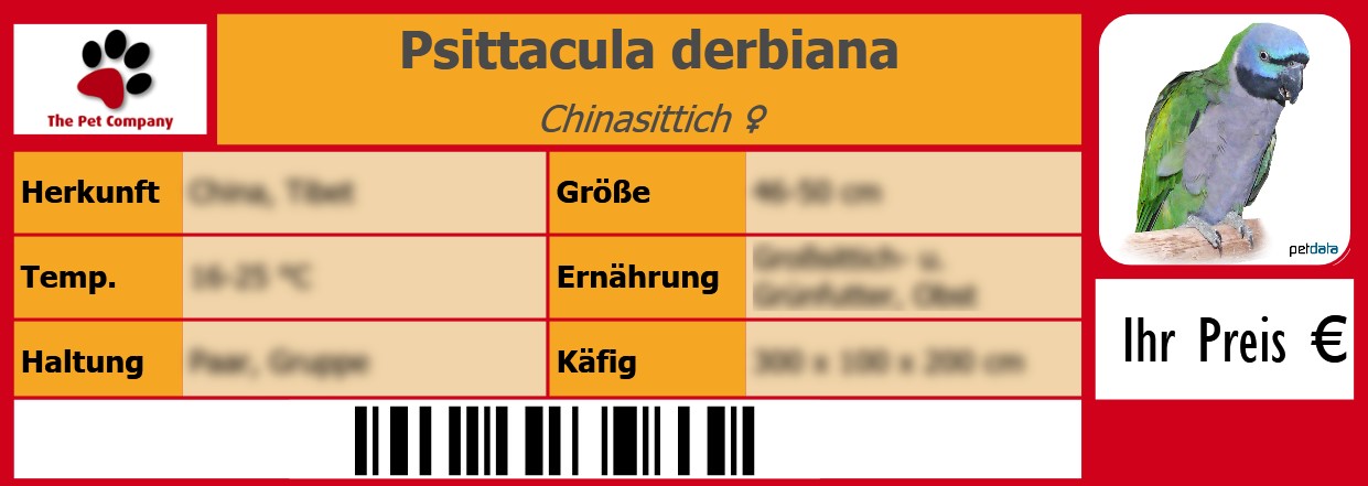 Psittacula derbiana Chinasittich ♀ 105 x 38 mm