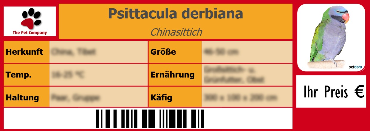 Psittacula derbiana Chinasittich 105 x 38 mm