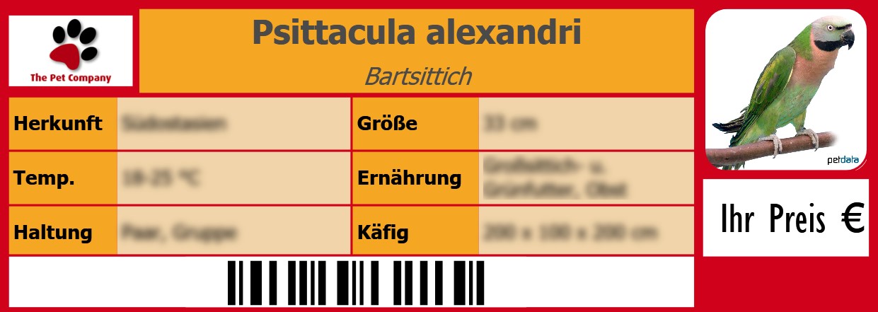 Psittacula alexandri Bartsittich 105 x 38 mm