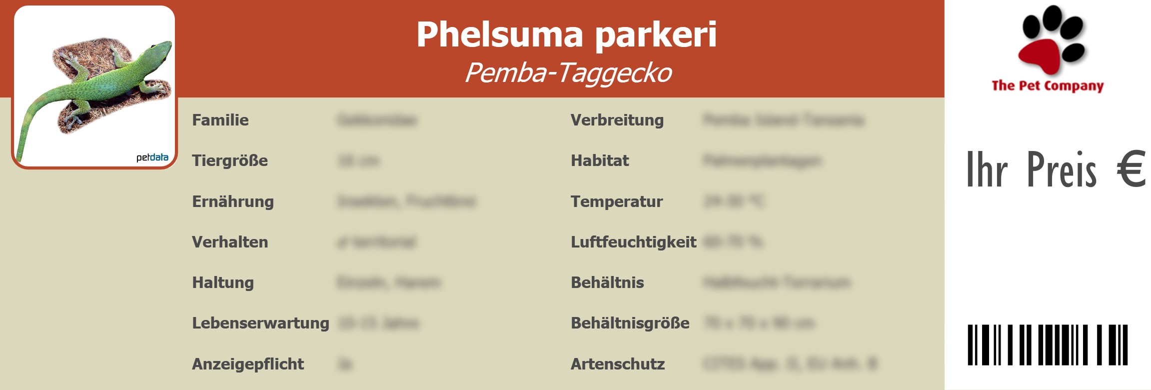 Phelsuma parkeri Pemba-Taggecko 195 x 66 mm