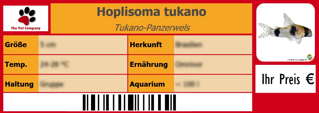 Hoplisoma tukano Tukano-Panzerwels 105 x 38 mm