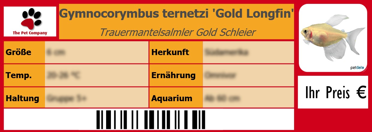 Gymnocorymbus ternetzi 'Gold Longfin' Trauermantelsalmler Gold Schleier 105 x 38 mm
