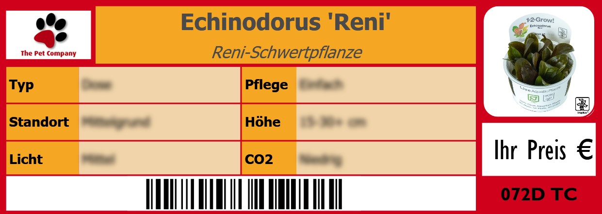 Echinodorus 'Reni' Reni-Schwertpflanze 105 x 38 mm