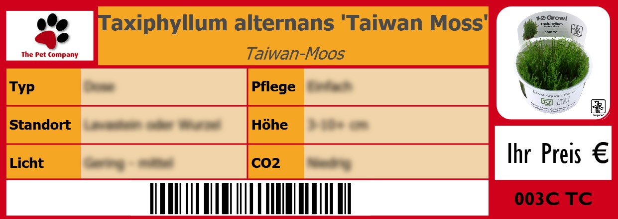 Taxiphyllum alternans 'Taiwan Moss' Taiwan-Moos 105 x 38 mm