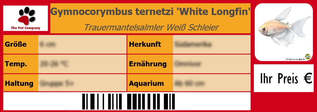 Gymnocorymbus ternetzi 'White Longfin' Trauermantelsalmler Weiß Schleier 105 x 38 mm