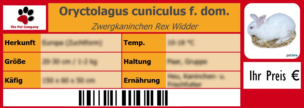 Oryctolagus cuniculus f. dom. Zwergkaninchen Rex Widder 105 x 38 mm