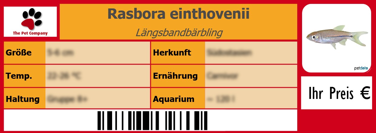 Rasbora einthovenii Längsbandbärbling 105 x 38 mm