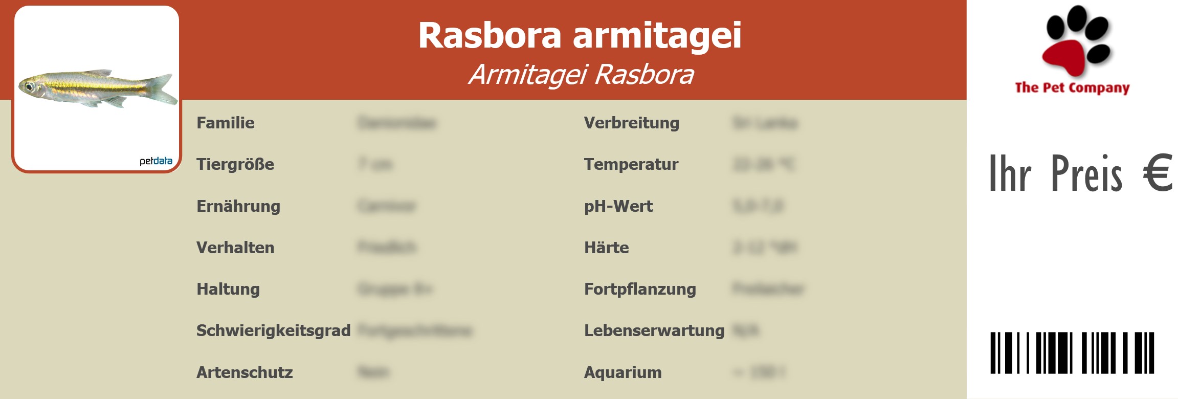 Rasbora armitagei Armitagei Rasbora 195 x 66 mm