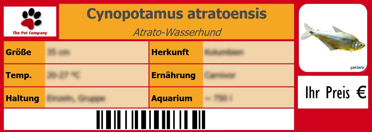 Cynopotamus atratoensis Atrato-Wasserhund 105 x 38 mm
