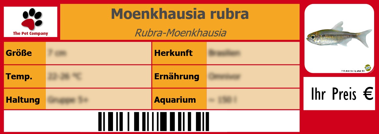 Moenkhausia rubra Rubra-Moenkhausia 105 x 38 mm