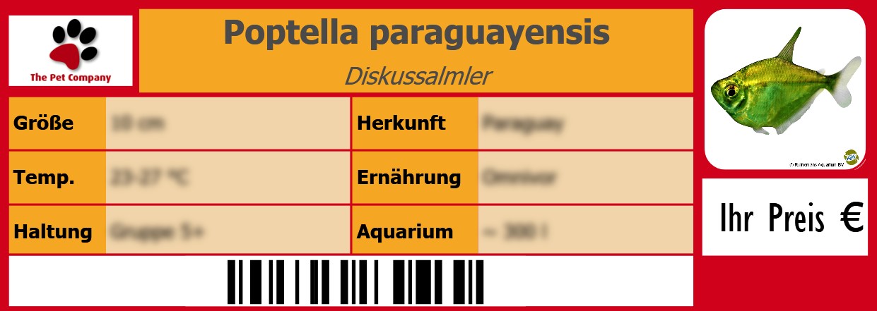 Poptella paraguayensis Diskussalmler 105 x 38 mm