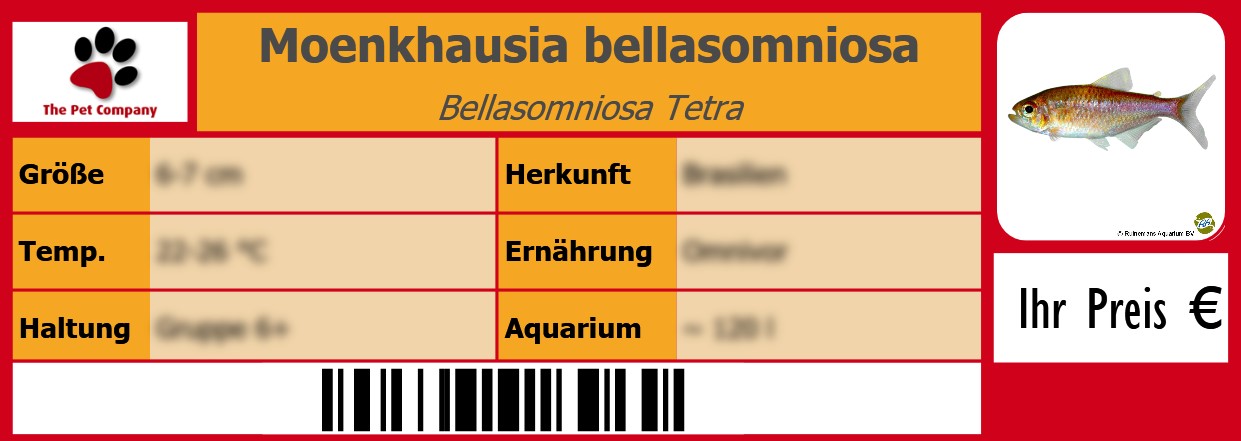 Moenkhausia bellasomniosa Bellasomniosa Tetra 105 x 38 mm