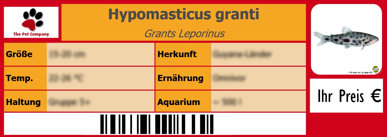 Hypomasticus granti Grants Leporinus 105 x 38 mm