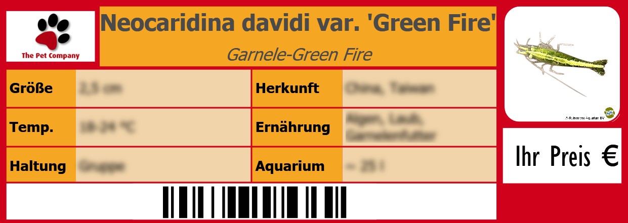 Neocaridina davidi var. 'Green Fire' Garnele-Green Fire 105 x 38 mm