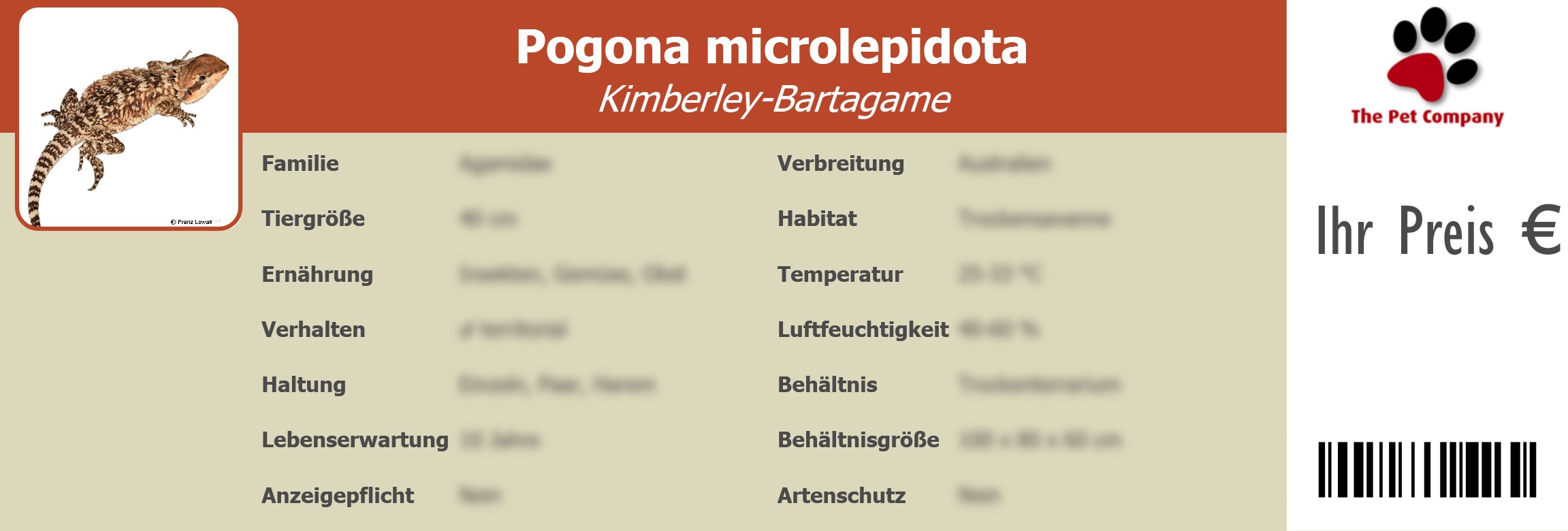 Pogona microlepidota Kimberley-Bartagame 195 x 66 mm